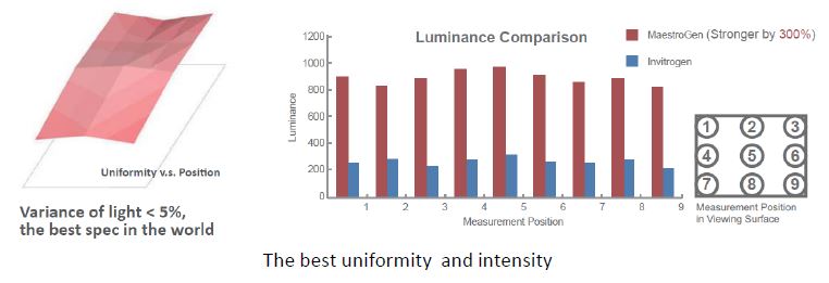 bright Transiluminator