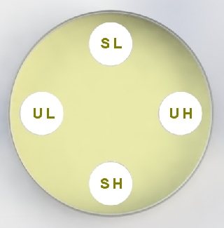 JP Cylinder Plate Bio Assay